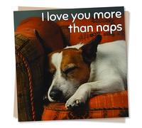 Adorable Dog Birthday or Anniversary Card For Your Loved One - I Love You More Than Naps - For Husband, Wife, Girlfriend, Boyfriend Partner