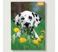 Adorable Dogs - 2026 Red Robin A5 Padded Diary Planner Soft Cover Dog Lovers