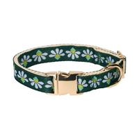 Adorable Emerald Floral Pattern Jacquard Webbing in Green Dog Collar with Soft Natural Cotton Padding and Gold Metal Buckle - Adjustable Fit