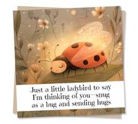 Adorable Get Well Soon or Thinking Of You Card For Loved One - Ladybird, Ladybug, Nature - Snug As A Bug And Sending Hugs - For Bestie, Friend, Sister, Brother, Relative, Colleague
