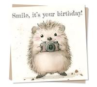 Adorable Happy Birthday Card For Loved One - Hedgehog, Animal Lover - Smile, It's Your Birthday! - For Brother, Sister, Son, Daughter, Bestie, Friend