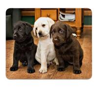 Adorable Labrador Puppies Mouse Pad, White Black and Brown Dogs Desk Mat | Cute Pets Mousepad Stitched, Anti-Slip Base Smooth Surface, 9.5 x 7.9 Inches