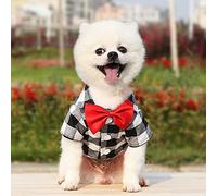 Adorable Plaid Shirt Suit Wedding Attire for Teddy Bear and Bichon Frise Dogs