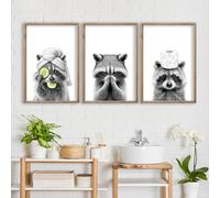 Adorable Raccoon Bathroom Wall Art Decor Set of 3 16x11 Inch Modren Funny Bathroom Sign Wood Framed Rustic Farmhouse Interestring Washroom Animal Prints Wall Hanging (Wood)