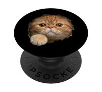 Adorable Red Exotic Shorthair Amber Eyes Cat Peeking Throug PopSockets Adhesive PopGrip