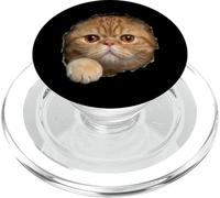 Adorable Red Exotic Shorthair Amber Eyes Cat Peeking Throug PopSockets PopGrip for MagSafe