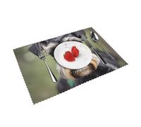 adorable schnauzer Print Dining Table Placemats Heat Resistant Washable Placemats for Holiday Banquets