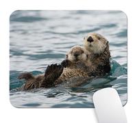 Adorable Sea Otters Mouse Pad, Nature Animal Playing Water Funny Desk Mat