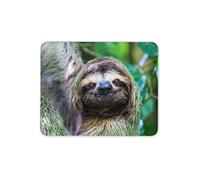 Adorable Smiling Sloth Mouse Mat Pad - Jungle Animal Computer #14983