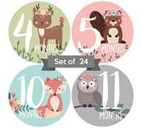Adorable Woodland Animal 4 in Baby Monthly Milestone Stickers. Set of 24 Infant Girl Decals. Floral Picture Props for Female Babies. Cute First Year Photo Aids for Family Scrapbook and Newborn Albums.