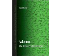 Adorno : The Recovery of Experience