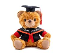 ADORSUN Graduation Bear Class of 2024 Personalised Graduation Gifts with Customised Text, Teddy Bear Plush as Graduation Gifts for Her High School University Graduation (10-IN-Light Brown 6)