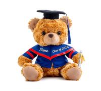 ADORSUN Personalised Gifts Teddy Bear with Custom Text, Graduation Bear Class of 2024 Personalised Teddy Bear for Graduation Day 2024 Graduation Gifts for Her 2024 High School/College (8-IN-Text)
