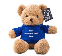 ADORSUN Personalised Teddy Bear Stuffed Animal with Customised Text, Stuffed Bear as Personalised Gift for Women/Men on Valentines' Day/Birthday/Anniversary 12inch-Hoodie-Blue