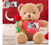 ADORSUN Personalised Teddy Bear with Photo and Custom Text on Heart, Stuffed Animals Valentine Teddy Bear with Rose as Im sorry gifts for Her/Him on Valentine/Anniversary/Birthday (10 IN-Red Heart)