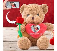 ADORSUN Personalised Teddy Bear with Photo and Custom Text on Heart, Stuffed Animals Valentine Teddy Bear with Rose as Im sorry gifts for Her/Him on Valentine/Anniversary/Birthday (10 IN-Red Heart)