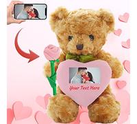 ADORSUN Personalised Teddy Bear with Photo and Custom Text on Heart, Stuffed Animals Valentine Teddy Bear with Rose as Im sorry gifts for Her/Him on Valentine/Anniversary/Birthday (10 IN-Pink Heart)