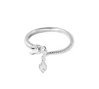 Adovz Dragon's Tail Qiankun Ring Dailypurc Dragon's Tail Qiankun Ring (925 Sterling Silver) Rings Men (Silver-C, 1.68cm)