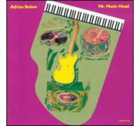 Adrian Belew - Mr Music Head