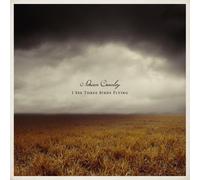 Adrian Crowley - I See Three Birds Flying [VINYL]