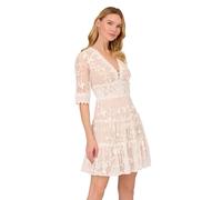 Adrianna Papell Women's Lace Embroidery Dress, Ivory/Nude, 20