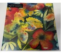 Adrianne Lenker - songs and instrumentals [VINYL]