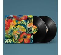Adrianne Lenker Songs and Instrumentals (Vinyl) 12" Album (US IMPORT)