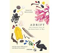Adrift: The Curious Tale of the Lego Lost at Sea