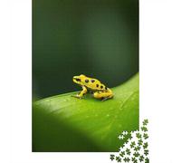 Adult 1000-Piece Jigsaw Puzzle, Deadly Elegance Dart Frog, 52x38cm/1000pcs, for Progress Whenever Time Allows; White Card Pieces for Easy Sorting