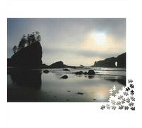 Adult 1000-Piece Jigsaw Puzzle, Olympic Park Solitude, 70x50cm/1000pcs; White Pieces with A Smooth Surface; for Progress Whenever Time Allows