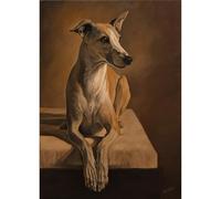 Adult 2000-piece（100x70cm） paper jigsaw puzzle DIY Italian Greyhound sitting on the ground classic toy family game gift