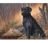 Adult 2000 Piece Jigsaw Puzzle Black Labrador in Haystack for Wall Art Home Decorative Gift 70x100cm
