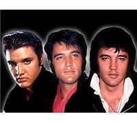 Adult 2000piece Jigsaw Puzzle with Elvis Presley Picture 70x100cm