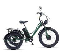 Adult 3-Wheel Electric Bike with Fat Tire, 200kg Load Capacity and Cargo Basket for Elderly Exercise and Shopping Comfort