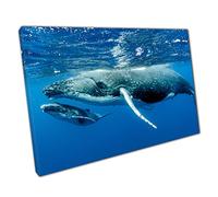 Adult And Child Humpback Whales Happily Swimming Through The Pacific Ocean Sea Life Wall Art Print On Canvas Picture For Home Office Decor 61x41cm (24x16In)