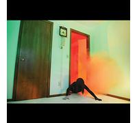 ADULT. - BECOMING UNDONE [VINYL]