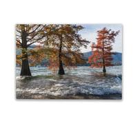 Adult Challenge Puzzle 1000 Pieces Lake Maggiore, Italy, Flooded Trees Colorful Jigsaw Puzzles for Adults and Teens Puzzle Toys Wooden Gifts
