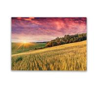 Adult Challenge Puzzle 500 Pieces Colorful Summer Landscape with Field of Wheat and Dramatic Sky. Colorful Home Decoration New Upgraded Gifts