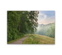 Adult Challenge Puzzle 500 Pieces Mist in The Woods on a Summer Morning in The Black Forest Suitable for Those Who Like Challenging Family Leisure and Entertainment Toys