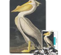 Adult Classic Jigsaw Puzzle, American White Pelican, 500 PCS