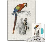 Adult Classic Jigsaw Puzzle, Different Types of Birds, 500 PCS