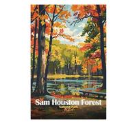 Adult Colourful Jigsaw Puzzle, Sam Houston Forest National Park, 1000 PCS
