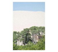 Adult Colourful Jigsaw Puzzle, The Dune, 1000 PCS