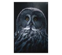 Adult Decorative Jigsaw Puzzle, Grey Bart Owl, 1000 PCS
