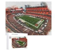 Adult Detailed Jigsaw Puzzle, FirstEnergy Stadium, 500 PCS