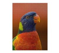 Adult Detailed Jigsaw Puzzle, Rainbow Lorikeet Portrait, 500 PCS