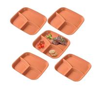 Adult Divider Plates | Reusable 3 Compartment Serving Dish - Set of 5 Section Plates for Vegetables Salad Rice Cheese Fruit Meal Adult Kitchen