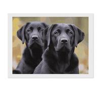 Adult DIY Diamond Painting Kit Full Drill 5D Labrador Retriever Dog Round Crystal Diamond Art, Complete Cross Stitch Replacement with Tools, Home Wall Decor for Adults 12"x16"