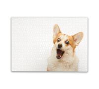 Adult Educational and Fun Puzzles 1000 Pieces Studio Shot of Welsh Corgi Pembroke Catching a Treat for Players Who Like to Challenge The Difficult and Unlock More Complex Patterns in Hd