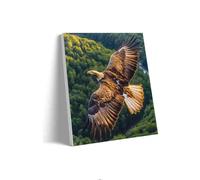 Adult Educational and Fun Puzzles 500 Pieces Fly with The Eagles Letters on The Back Suitable for Beginners to Adapt to Family Education Activities Without Pressure